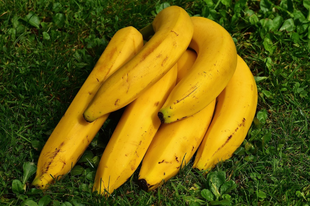 bananas in the grass