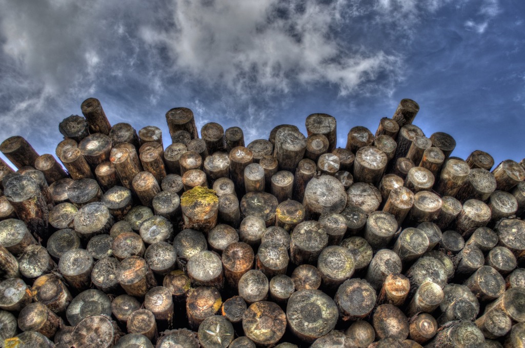 Stack of logs.