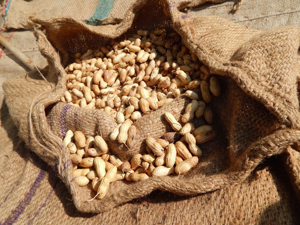 peanuts in a jute bag